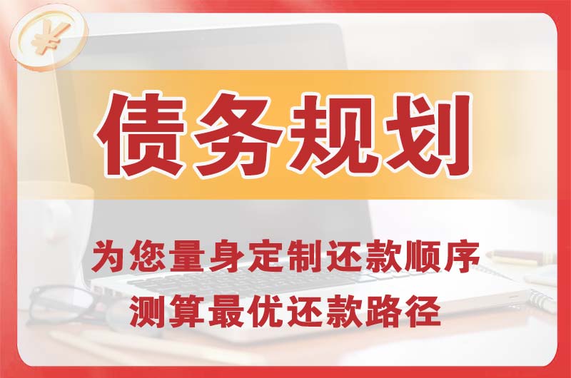 深泽债务规划